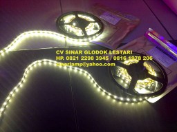 Lampu LED Strips 3528 IP33 DC 12V 5meter